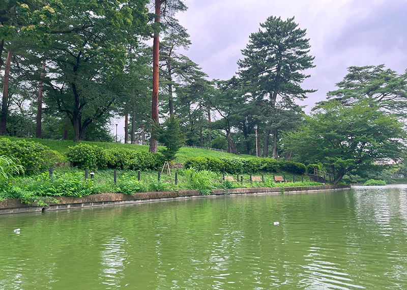 ボート池の端っこ