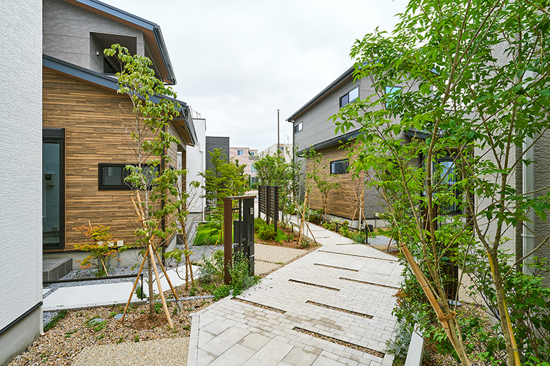 オモイス浦和美園の樹木