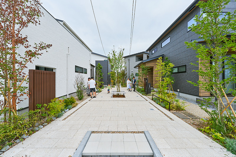 オモイス浦和美園の樹木2