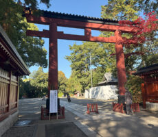 氷川茶庭（ひかわさてい）外観