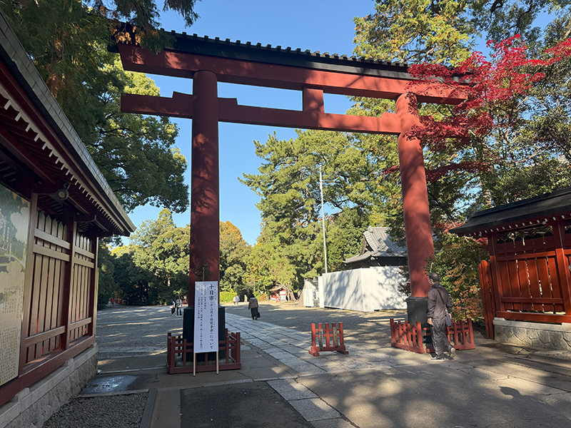 氷川茶庭（ひかわさてい）外観