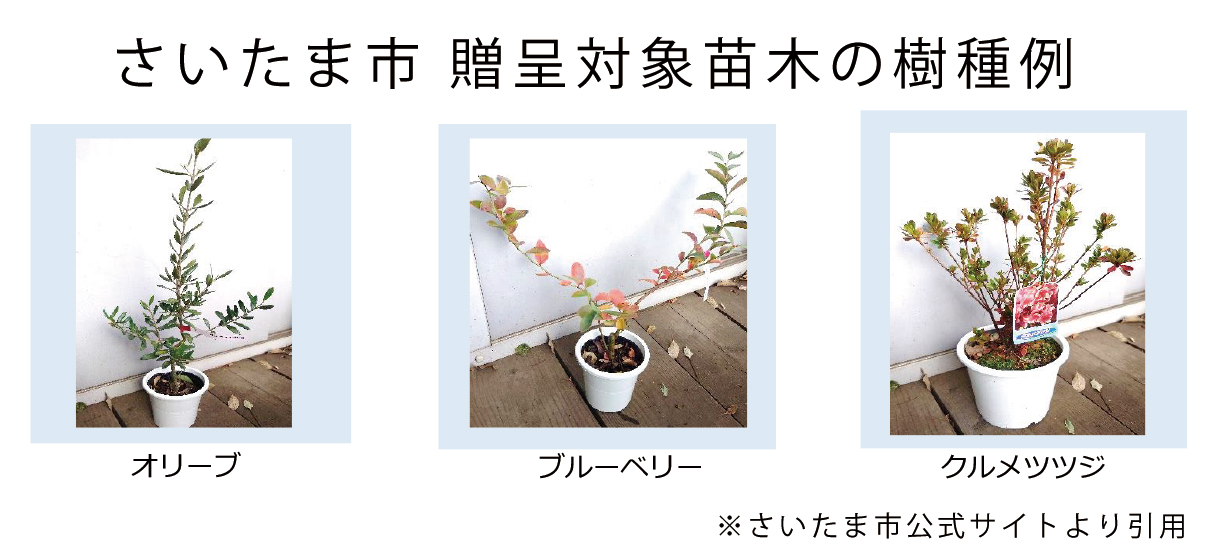 さいたま市 贈呈対象苗木の樹種例