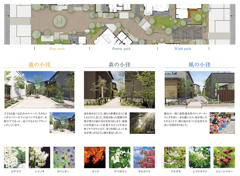 オモイス浦和美園の植栽の様子2