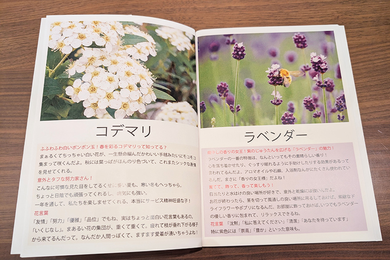 ハンドブックの画像