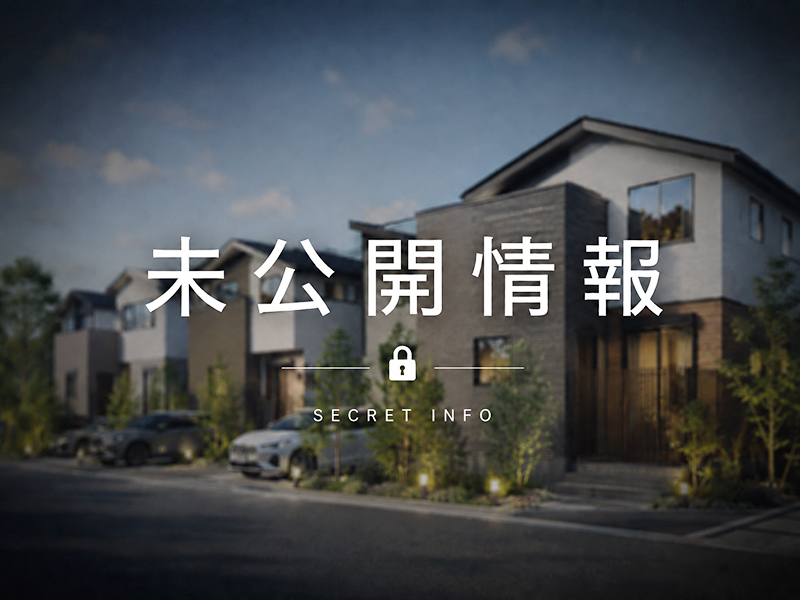 ポラスタウン開発 未公開情報